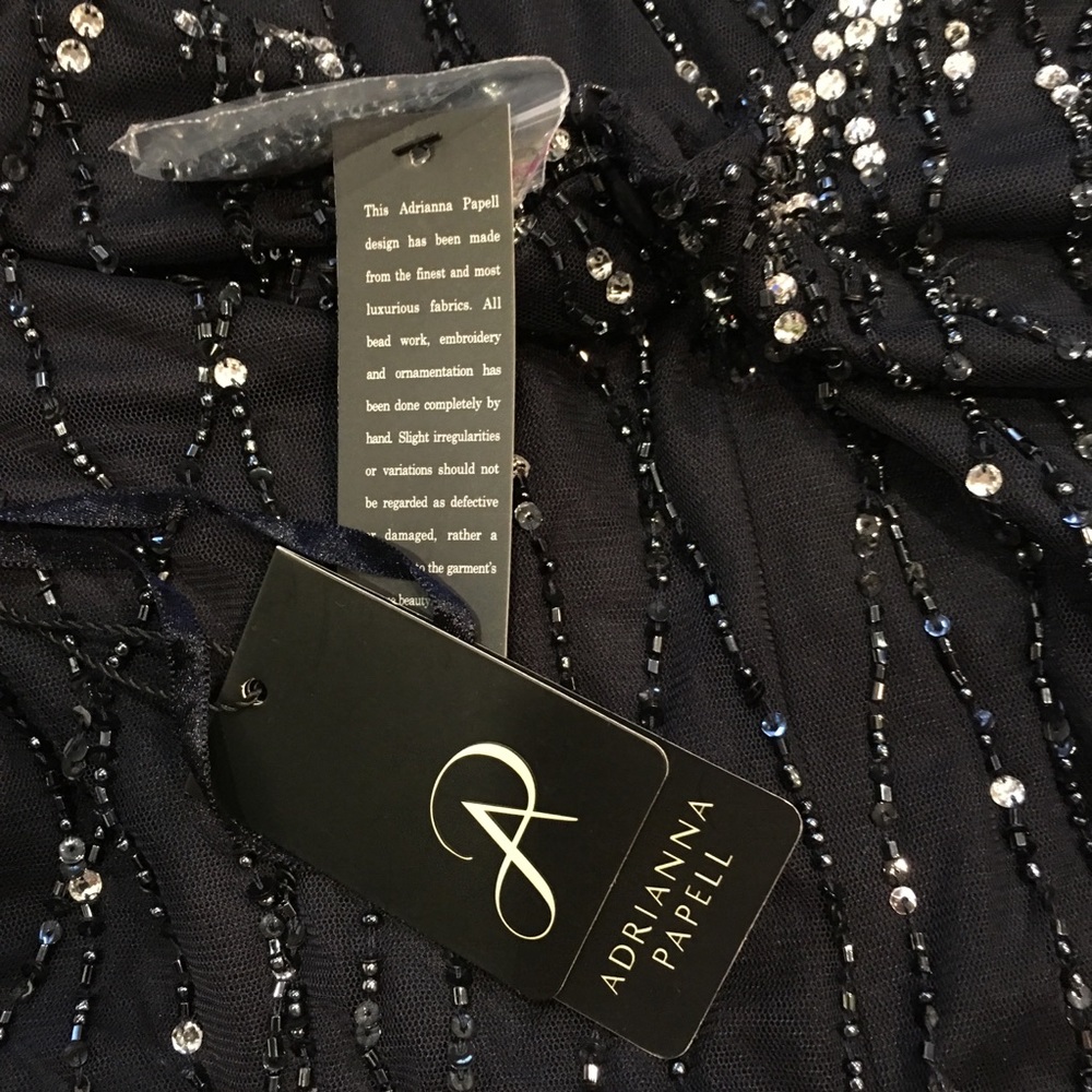 BHLDN Brooklyn Dress x Adrianna Papell - Picture 6 of 8